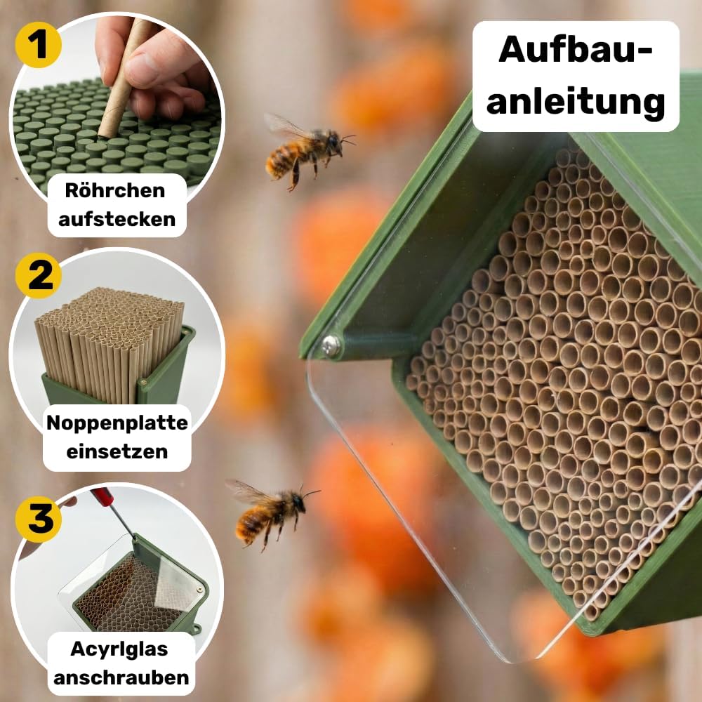 BEESI Insektenhotel für Wildbienen – Wetterfeste Nisthilfe mit 266 auswechselbaren Nisthülsen – Lang