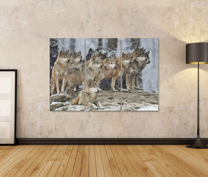 islandburner Bild auf Leinwand Rudel Wölfe Schnee Bilder Wandbilder Poster Leinwand 130x80cm - 3 Tei