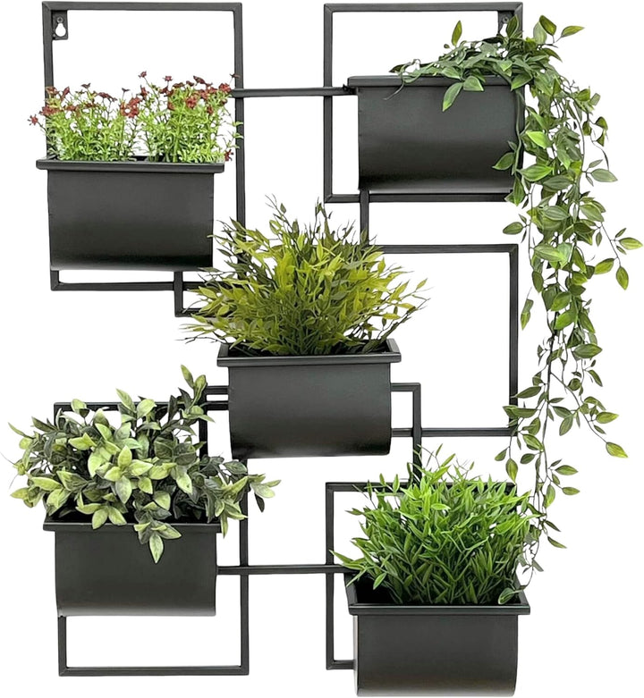 DanDiBo Kräuterregal Küche Wand Metall Schwarz 96525 Wandregal Blumenregal Pflanzenhalter Wandblumen