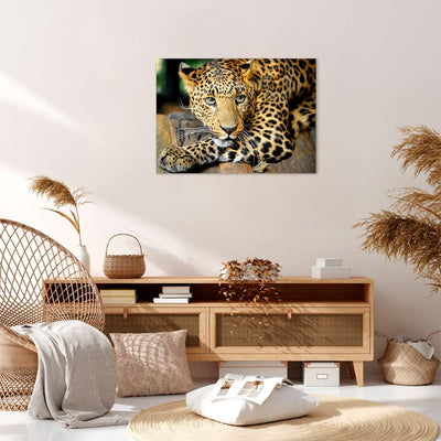 Bilder auf Leinwand Tiere gefährlich wilde katze Leinwandbild 70x50cm Wandbilder Dekoration Wohnzimm