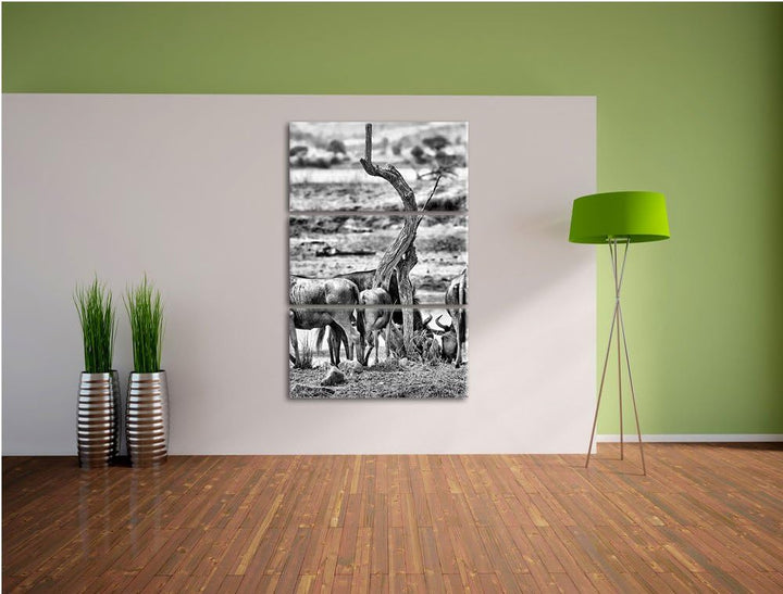 Pixxprint Monocrome, Kaffernbüffel Herde in Savanne 3-Teiler Leinwandbild 120x80 Bild auf Leinwand
