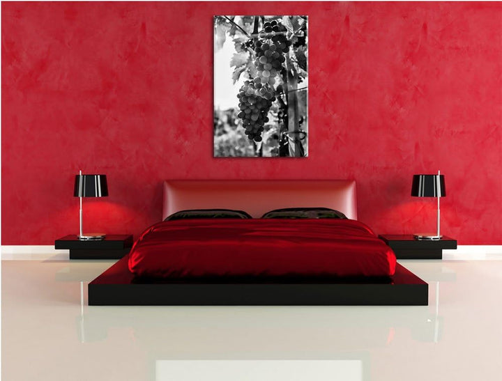 Pixxprint Weinberg im Abendlicht/Format: 100x70cm / Leinwandbild fertig bespannt Wandbild Kunstdruck