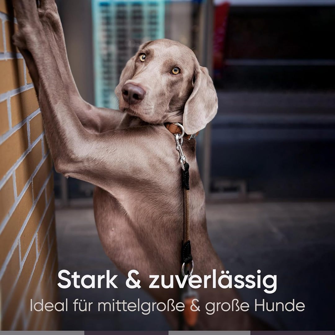 FREUDENTIER Hundeleine 2m - Führleine 3-Fach verstellbar - Robustes Nylon abgerundet mit stilvollen