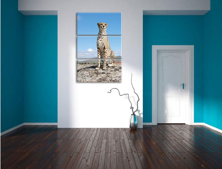Pixxprint Wachsamer Gepard als Leinwandbild/Grösse: 3 Teilig (120x80) cm/Wandbild/Kunstdruck/fertig