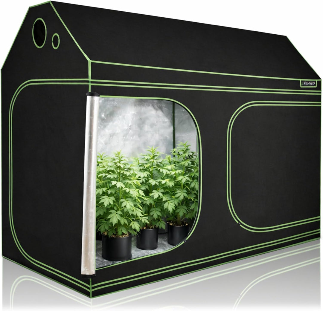 Zelsius Growzelt MyHomeGrow Grow Tent für Dachschräge Dachboden | Indoor Growbox | schwarz grün | Gr