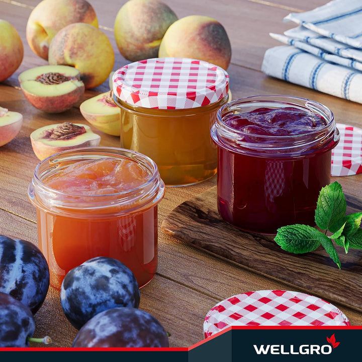 WELLGRO 25x Einmachgläser mit Schraubdeckel - 235ml - Deckel To 82 rot kariert - Made in Germany - V