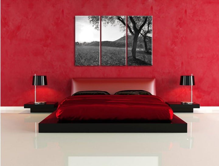 Pixxprint Landschaft im Herbst Kunst / 3-Teilig/Gesamtmass 120cm Leinwandbild bespannt auf Holzrahme