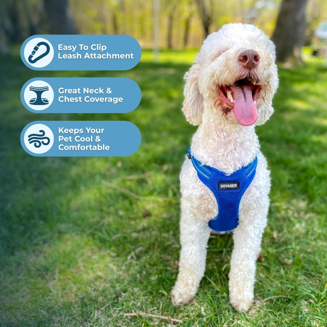 Voyager Verstellbares Hundegeschirr mit Reflektorstreifen by Best Pet Supplies - Strapazierfähige Ga