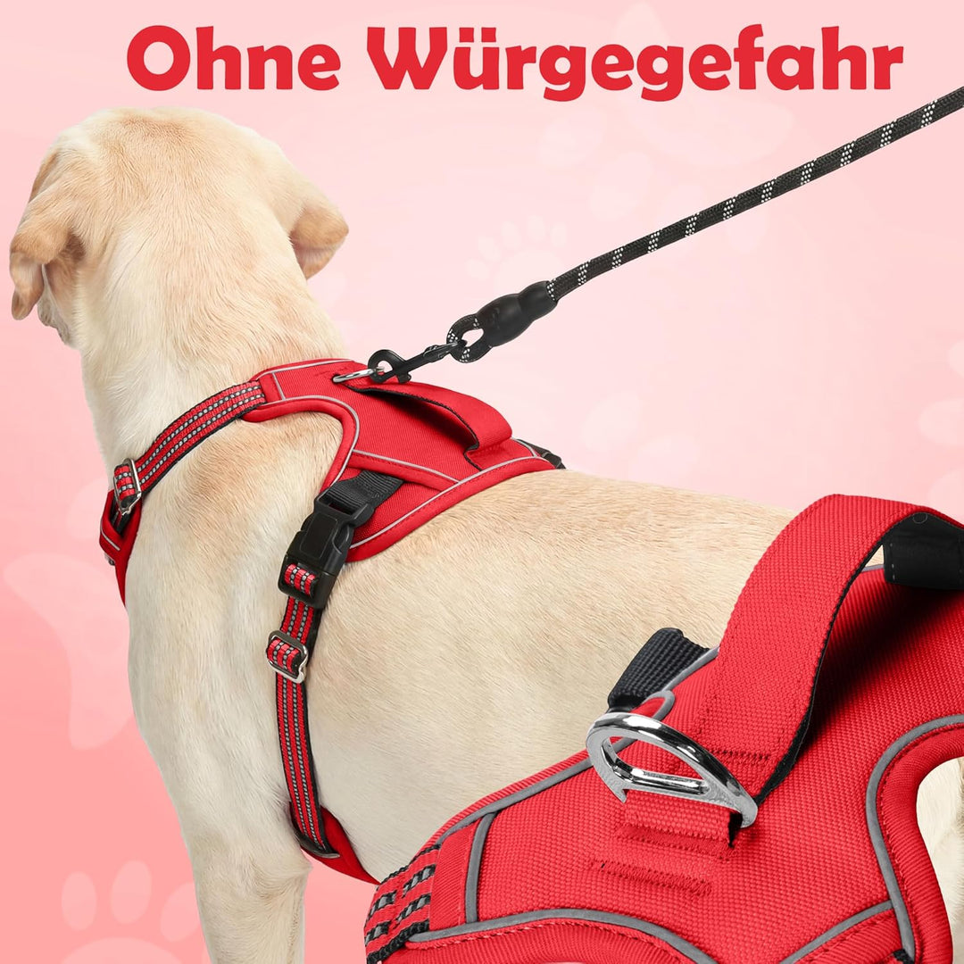 Funfox Hundegeschirr Mittelgrosse Hunde [M] - Verstellbares Anti-Zug Brustgeschirr mit Griff & Refle