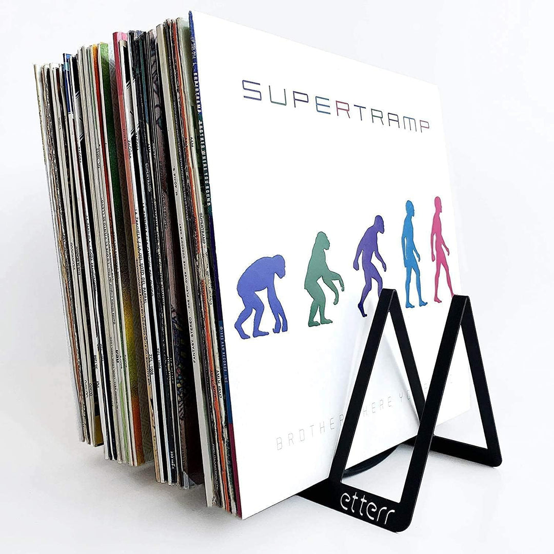 Präsentations- und Aufbewahrungshalterung für 50 Vinyl-Schallplatten (Schwarz x 2)