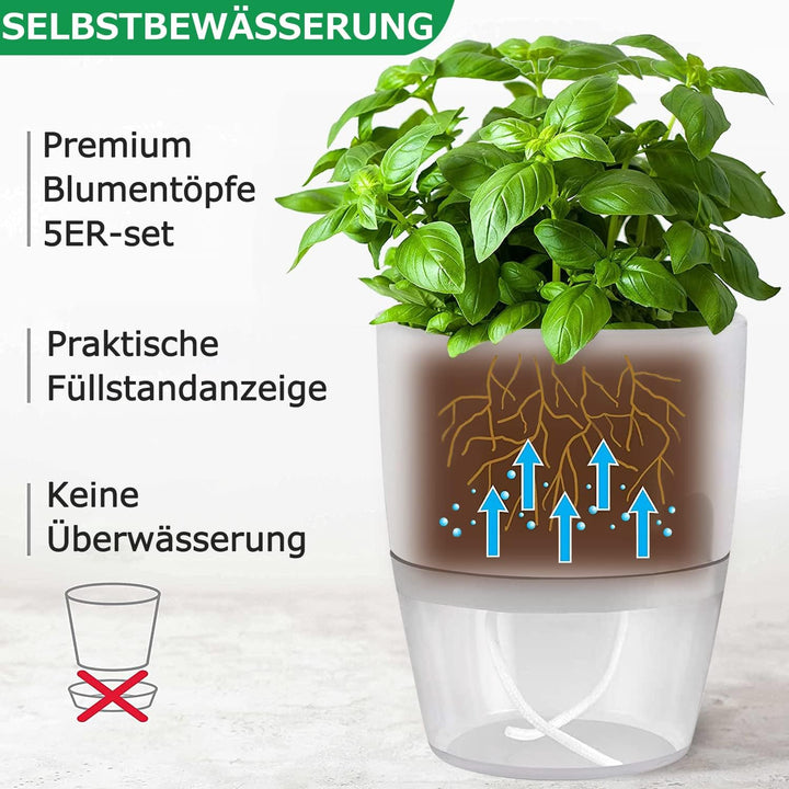 iDattel Kräutertopf Küche Set Fensterbank selbstbewässernd-6er Set Kräutergarten für die Küche,23.5/