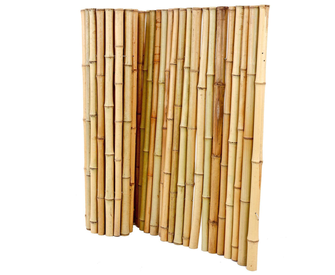 Bambusmatte Rollzaun Bali Big mit 100x200cm aus Moso Bambusstäben 3,5 bis 5cm naturbelassen - Bambus