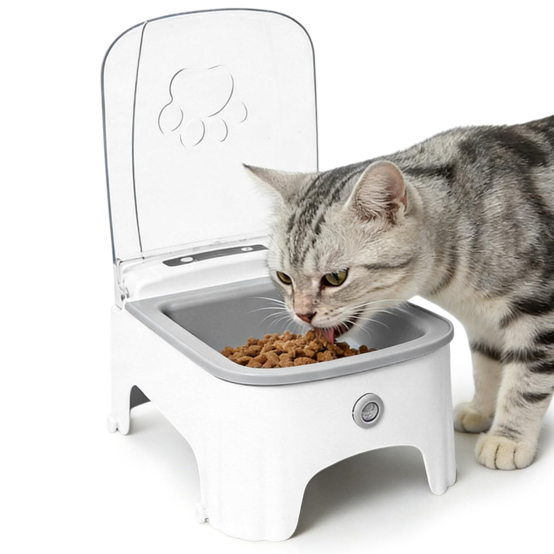 Futterautomat Katze, 23×17×11.5cm Futterautomat Katze Frienhund, Automatischer Futterspender, Katzen