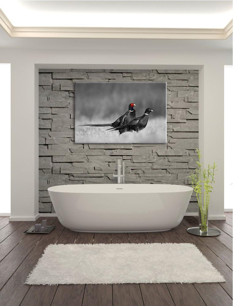 zwei Fasane auf Wiese schwarz/weiss Format: 100x70 auf Leinwand, XXL riesige Bilder fertig gerahmt m