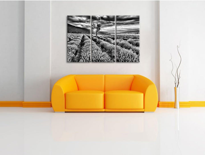 Pixxprint Lavendel Provence als Leinwandbild/Grösse: 3 Teilig (120x80) cm/Wandbild/Kunstdruck/fertig