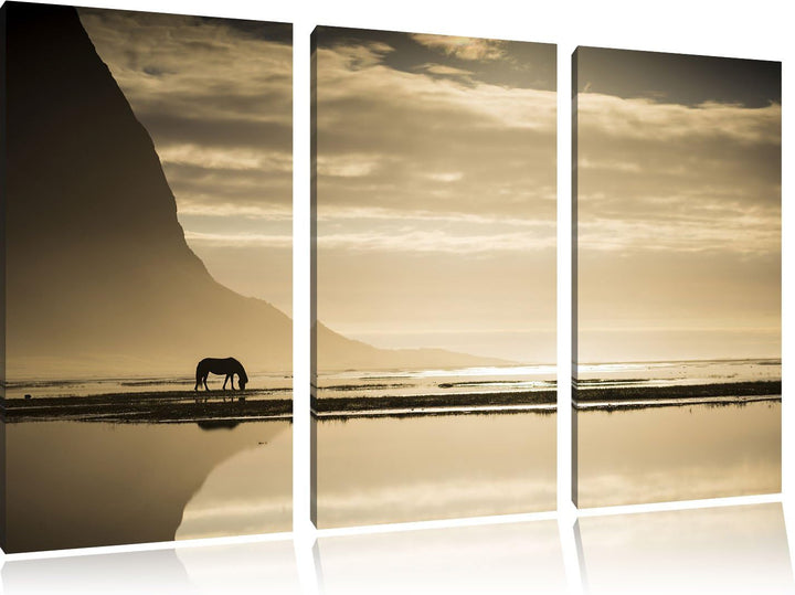 Pixxprint Pferd am Ufer Einer Insel / 3-Teilig/Gesamtmass 120cm Leinwandbild bespannt auf Holzrahmen