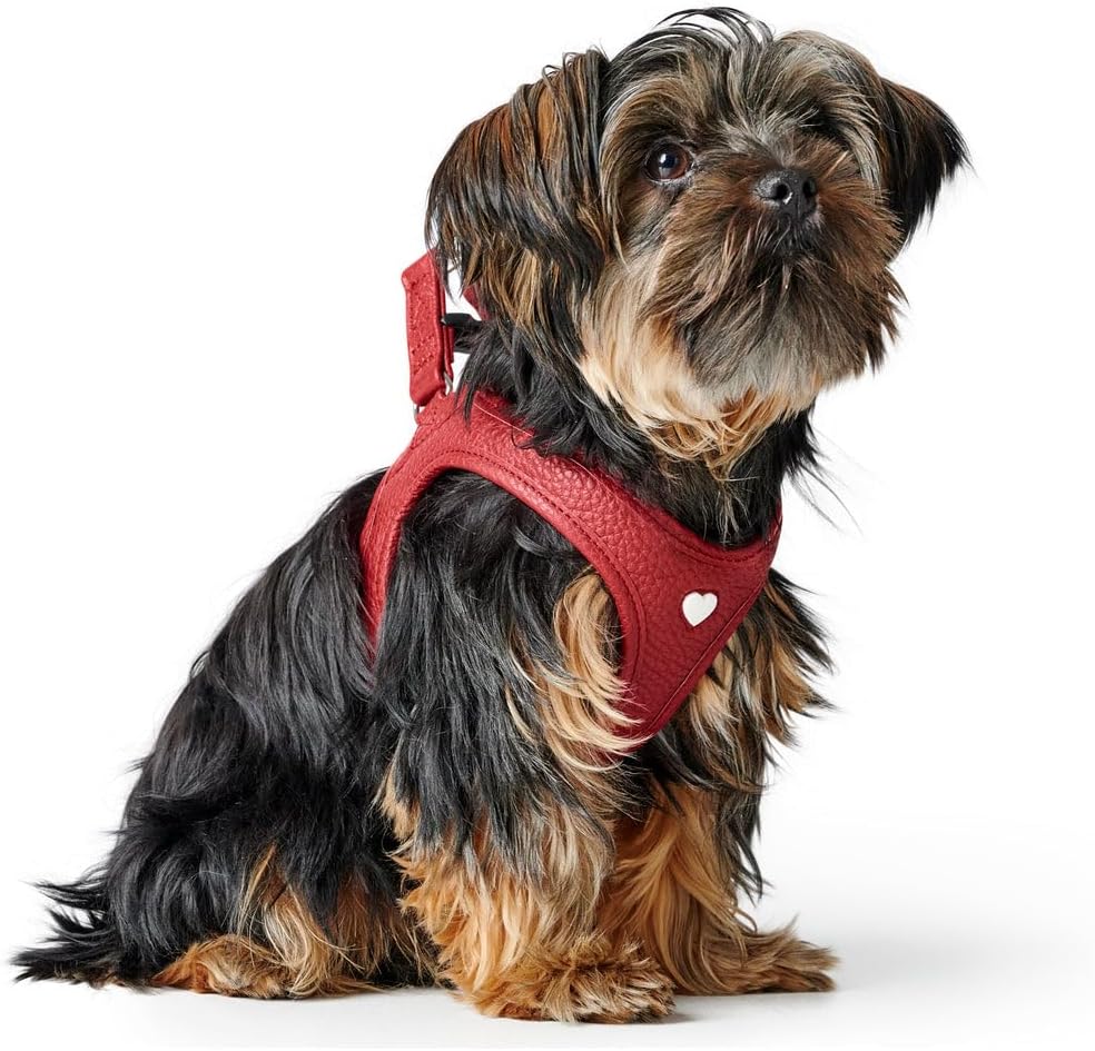 Hunter Hundegeschirr Love, Farbe: rot, weiches Rindsleder, atmungsaktive Mesh-Polsterung, Herz handg