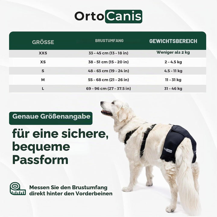 Ortocanis - Hüftorthese für Hunde - Hüftdysplasie, Hüftschmerzen oder Lokalisierten Arthrose - Stabi