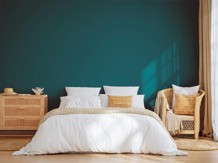 BOX DECO COULEURS Natürliche Farbe, für den Innen- und Aussenbereich, Seidenoptik, 1 l, 13 m² [Energ