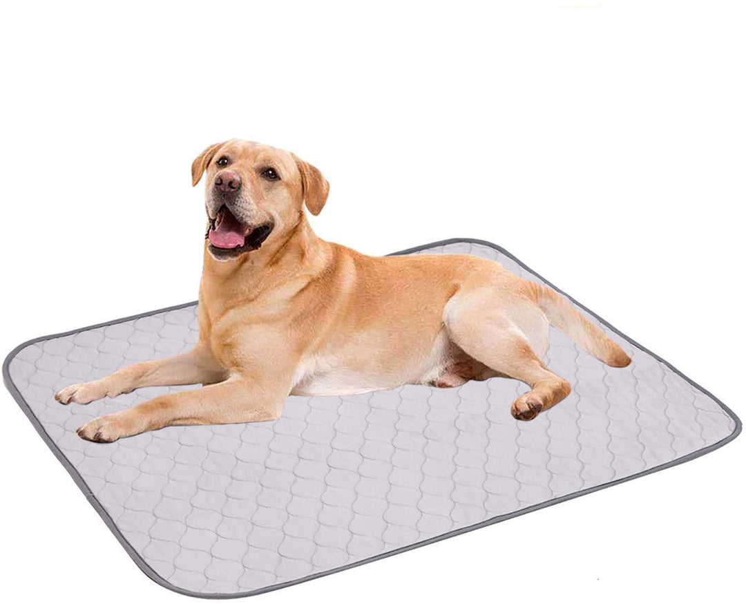 Geyecete Welpen Unterlagen Waschbar,4 stück 60X45CM Wiederverwendbare PIPI Matten für Hunde, Schnell