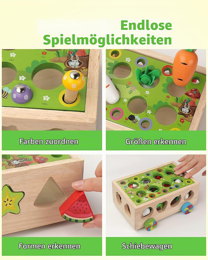 Coogam Montessori Spielzeug, Feinmotorik Spielzeug ab 1 2 3 Jahr | hölzerne Form Sortierer Karotte E
