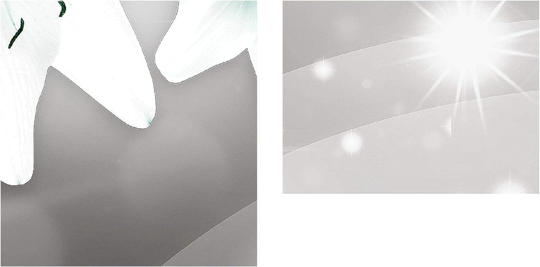 Runa Art Bild Blumen Lilien Wandbilder auf Vlies Leinwand 5 Teilig Wanddekoration Wohnzimmer Schlafz