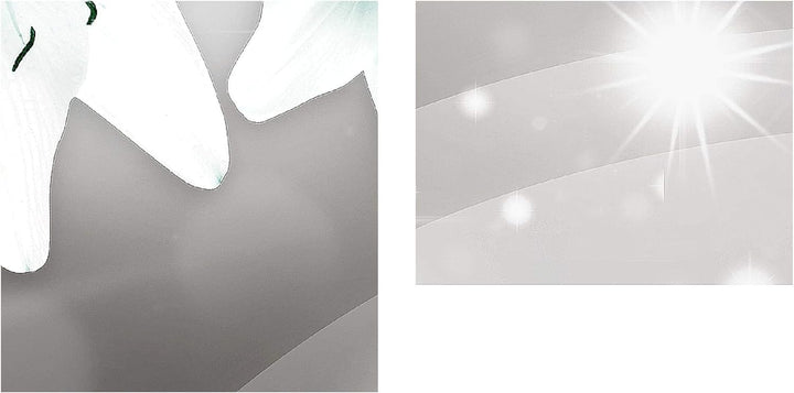 Runa Art Bild Blumen Lilien Wandbilder auf Vlies Leinwand 5 Teilig Wanddekoration Wohnzimmer Schlafz