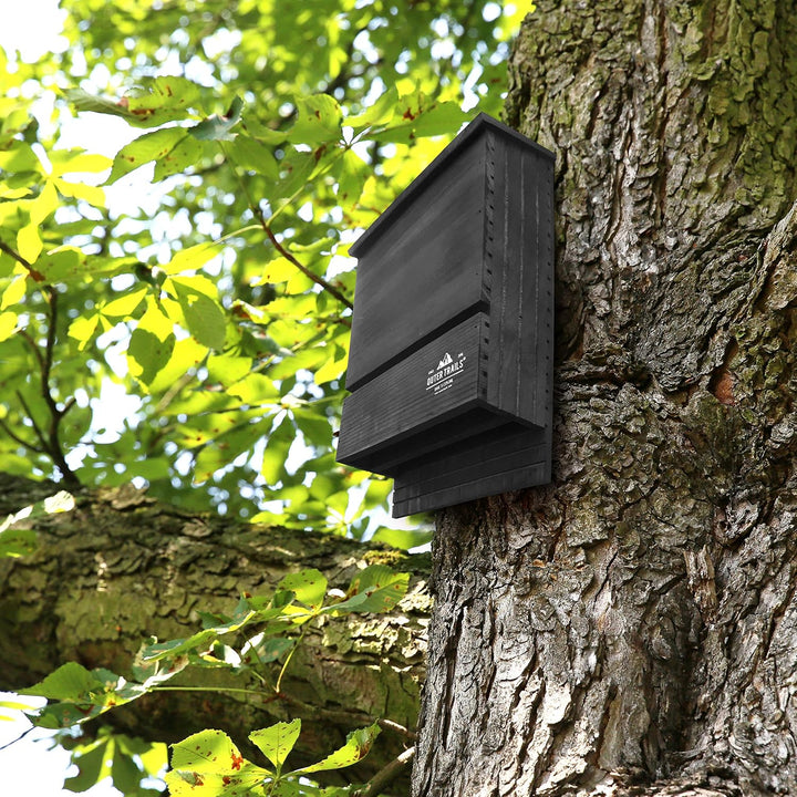 Fledermaushaus für den Aussenbereich, schwarzes natürliches Zedernholz, 2 Kammern, Schwarz