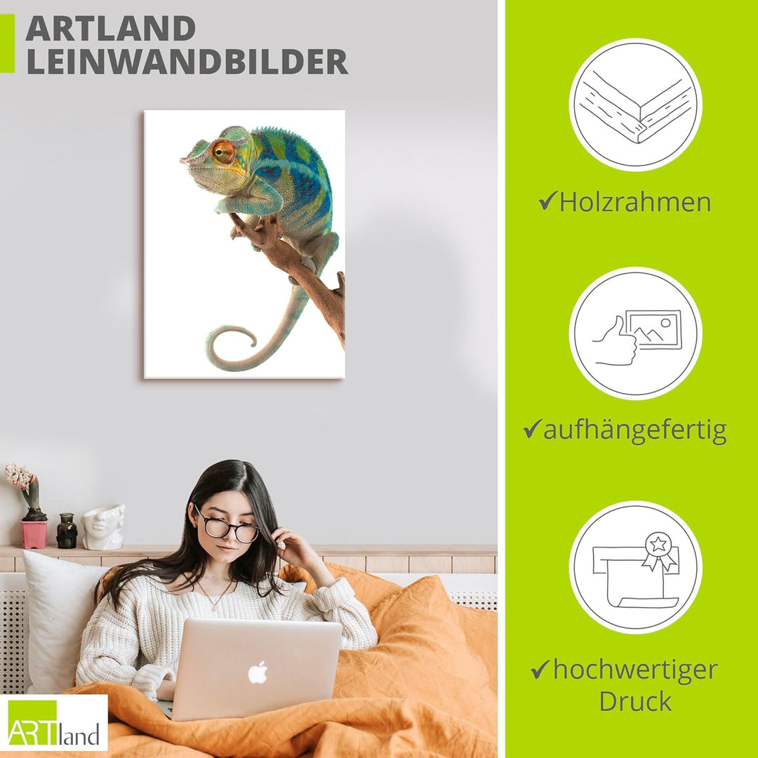 ARTland Leinwandbilder Wandbild Bild auf Leinwand 60x80 cm Tiere Reptilien Chamäleon Madagaskar Zoot