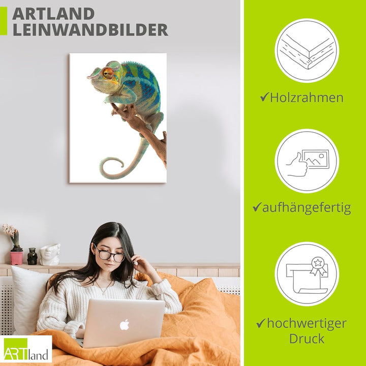 ARTland Leinwandbilder Wandbild Bild auf Leinwand 60x80 cm Tiere Reptilien Chamäleon Madagaskar Zoot
