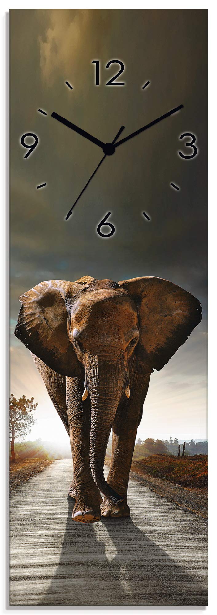 ARTLAND Wanduhr ohne Tickgeräusche Glas Funkuhr 20x60 cm Rechteckig Lautlos Afrika Tiere Elefant Saf