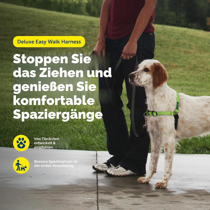 PetSafe Deluxe Easy Walk Hundegeschirr apfelgrün Medium, apfelgrün Medium