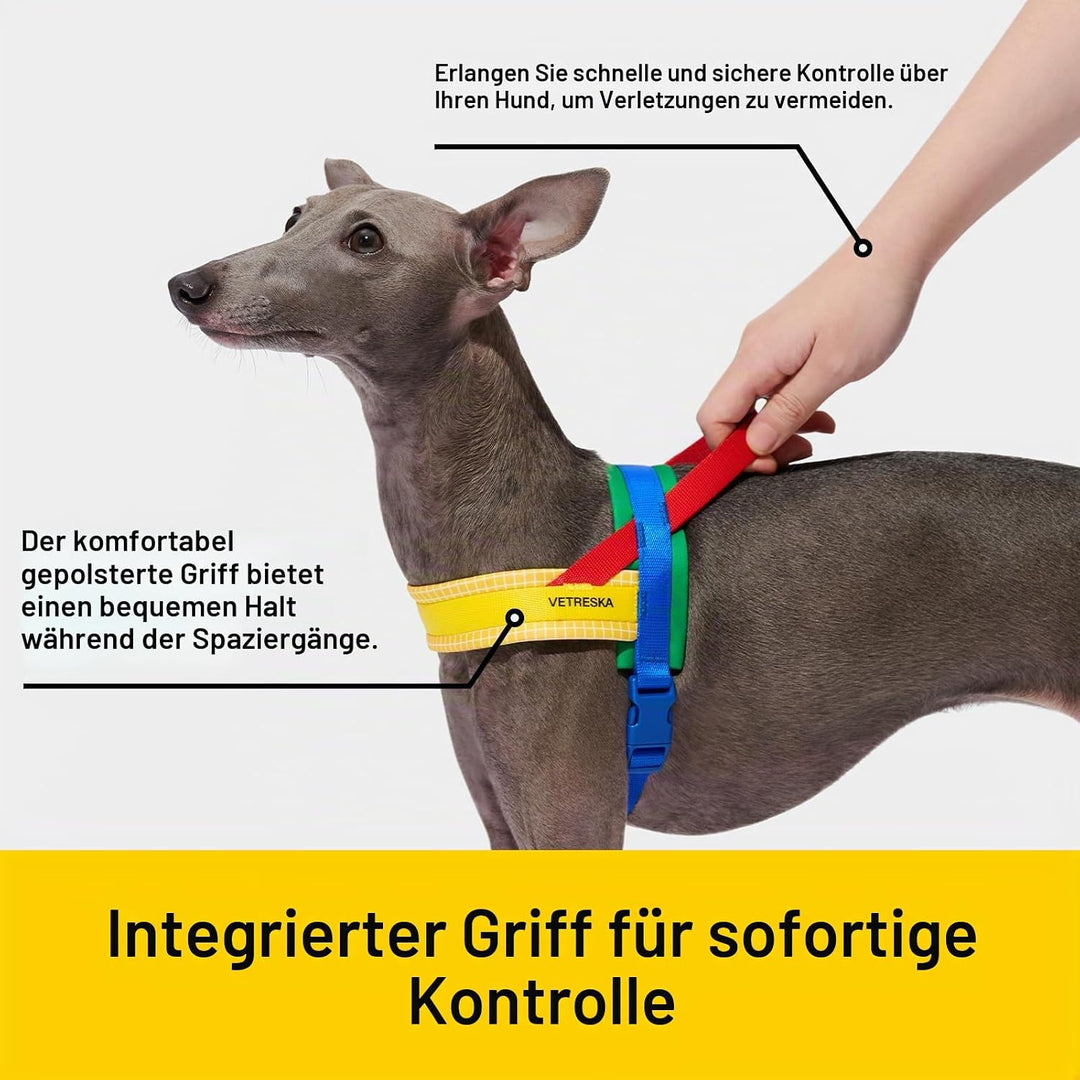 VETRESKA No Pull Hundegeschirr für kleine Hunde, Easy Walk Hundegeschirr und Leine Set, Welpengeschi