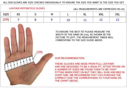 Mens Leather Winter Thermal Labelled Waterproof Inserts Thinsulate Motorcycle Gloves XL, XL