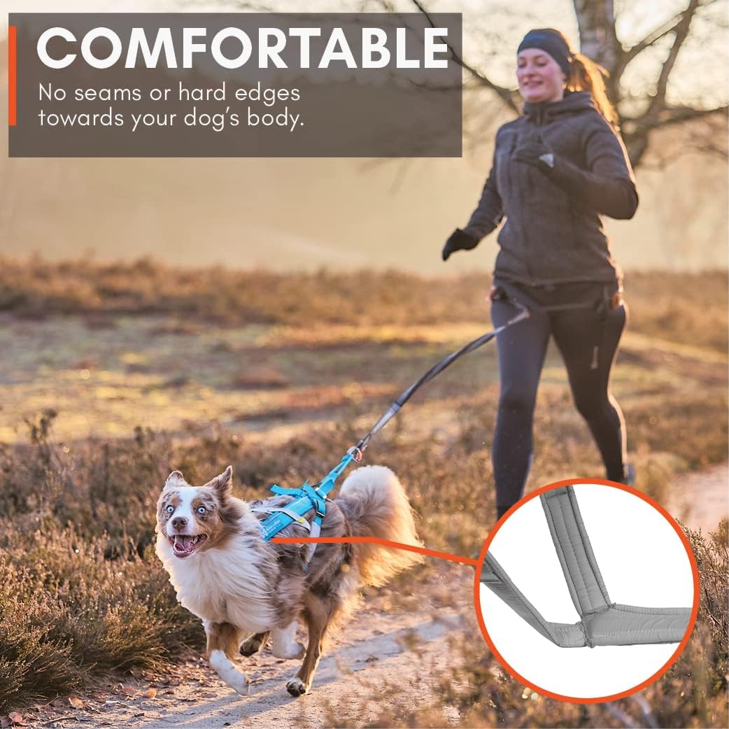 Non-Stop dogwear Freemotion Harness 5.0 | Hunde-Geschirr für alle Sportarten, Grösse:Grösse 8 schwar