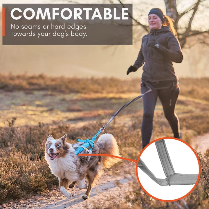 Non-Stop dogwear Freemotion Harness 5.0 | Hunde-Geschirr für alle Sportarten, Grösse:Grösse 8 schwar