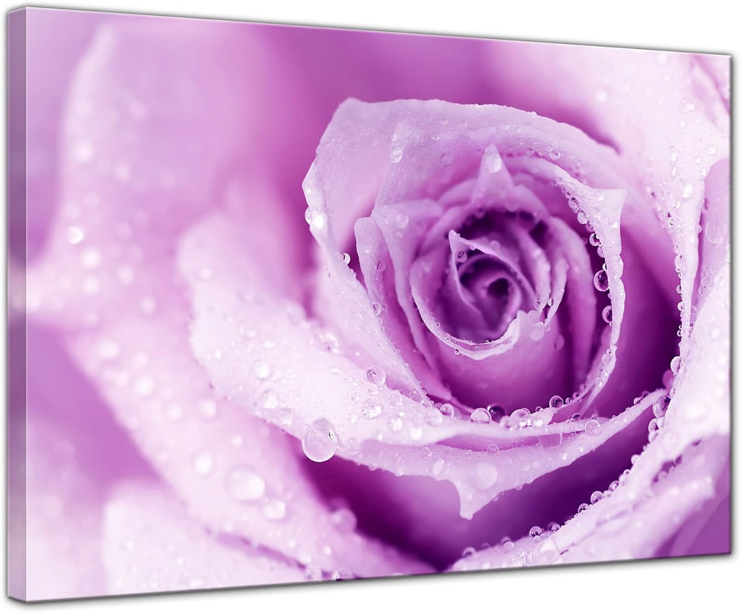 Bilderdepot24 Bild auf Leinwand | Lila Rose mit Tropfen II in 60x50 cm als Wandbild | Wand-deko Deko