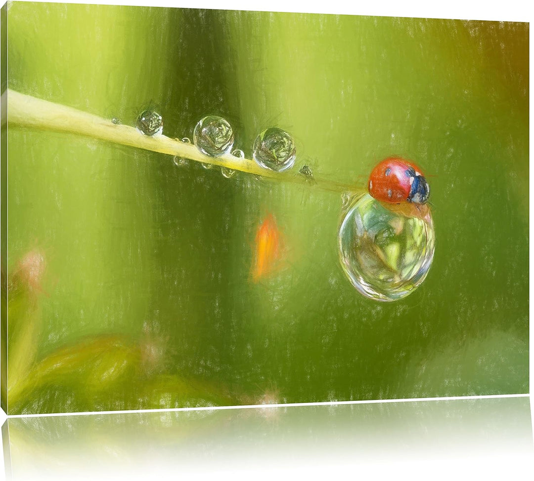 Pixxprint Marienkäfer als Leinwandbild/Grösse: 100x70 / Wandbild/Kunstdruck/fertig bespannt, 100x70