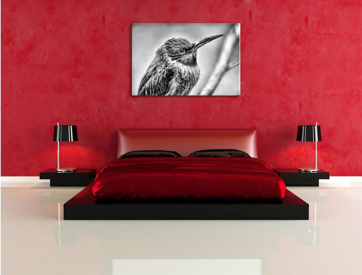 Pixxprint Kleiner tropischer Vogel / 100x70cm Leinwandbild bespannt auf Holzrahmen/Wandbild Kunstdru