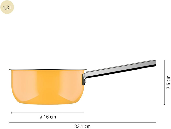 WMF Fusiontec Mineral Pro, Stielkasserolle mit Deckel, 16 cm, langlebiges, kratzfestes Material, kle
