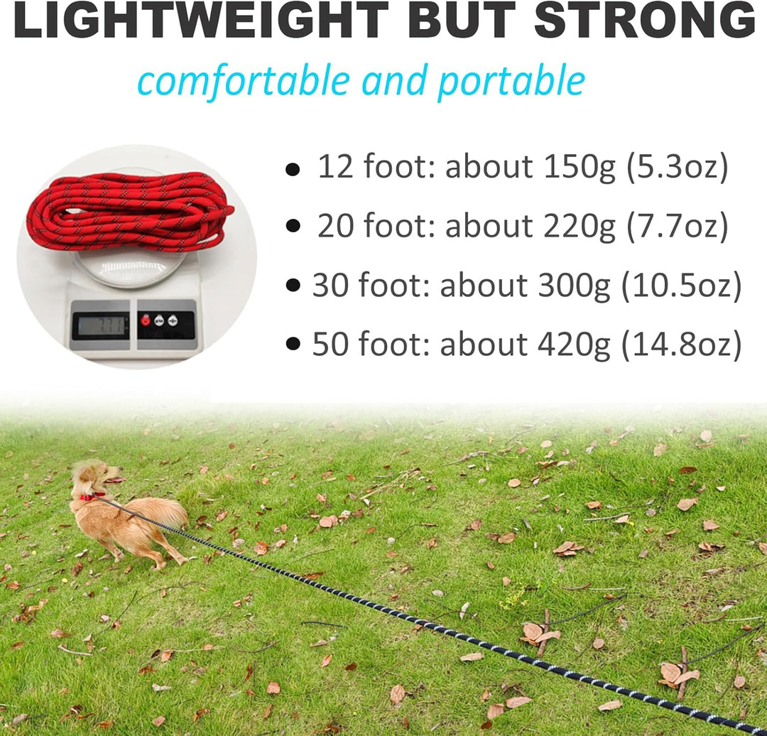 Reflektierende Lange Retrieverleine für mittelgrosse Hunde, kleine Welpen, Haustiere, 3,6 m, 7,6 m,