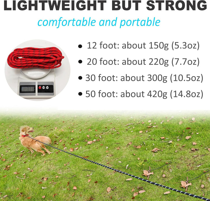 Reflektierende Lange Retrieverleine für mittelgrosse Hunde, kleine Welpen, Haustiere, 3,6 m, 7,6 m,