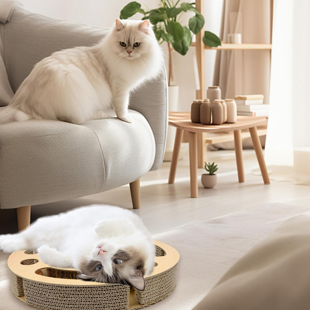 Kratzpappe für Katzen, 2-in-1 Kratzbrett mit Klingelballs, interaktives Katzenspielzeug, stabiles Kr