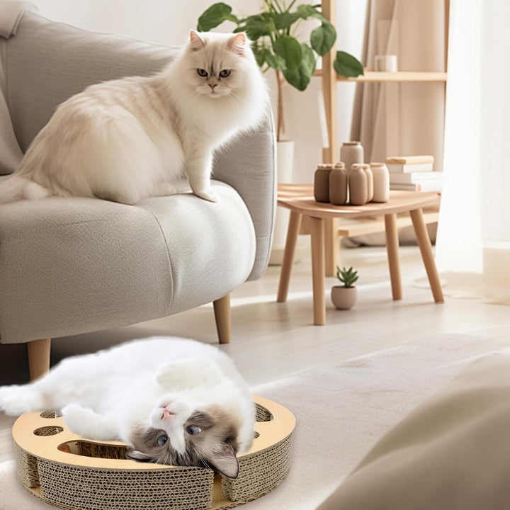 Kratzpappe für Katzen, 2-in-1 Kratzbrett mit Klingelballs, interaktives Katzenspielzeug, stabiles Kr
