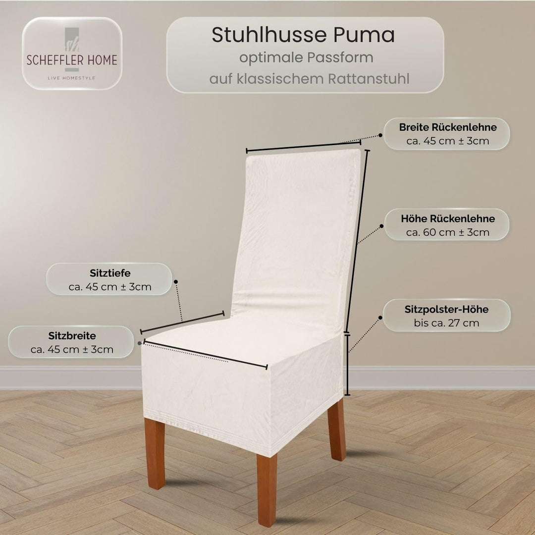 SCHEFFLER-Home Stretch Stuhlhussen Samt Puma Velvet/Velours Stuhlhussen Weiss-Ecru 2er Set/Stuhlabde
