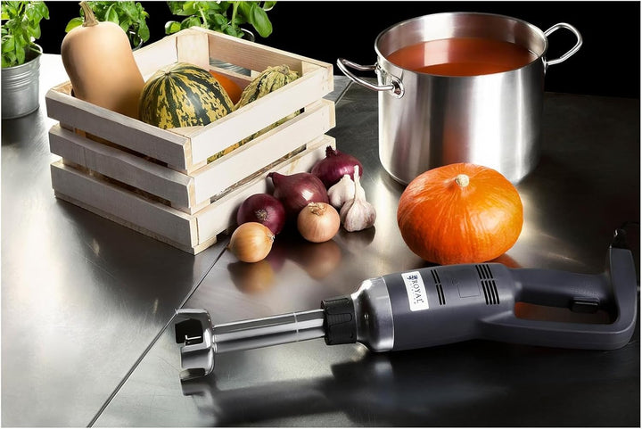 Royal Catering RCSM-350-250 Stabmixer Pürierstab Zauberstab (ergonomischer Griff, 350 W, 18.000 U/mi
