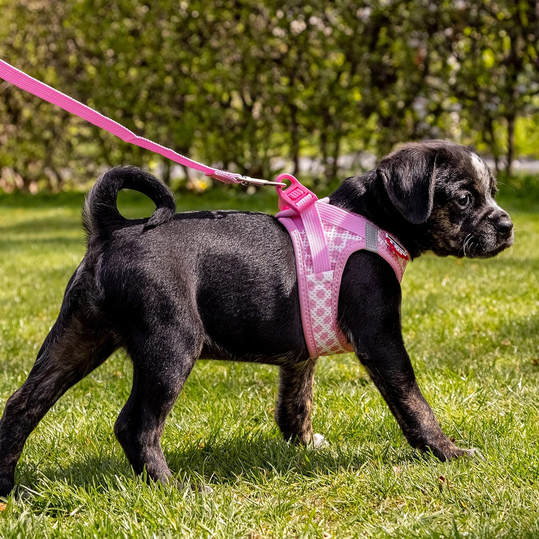 Vest Harness curli Clasp Air-Mesh Pink-Circles XS & Leash M, Pink-Circles XS