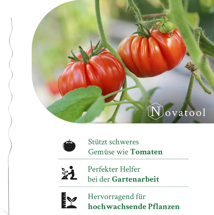 Novatool 10 Stück Tomatenstäbe 170 cm x 5 mm Ø Tomatenspiralstäbe verzinkt Rankstäbe Tomatenstangen