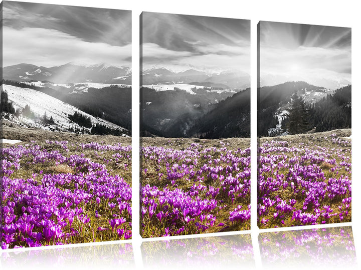 Pixxprint Berglandschaft Regenbogen als Leinwandbild/Grösse: 3 Teilig (120x80) cm/Wandbild/Kunstdruc