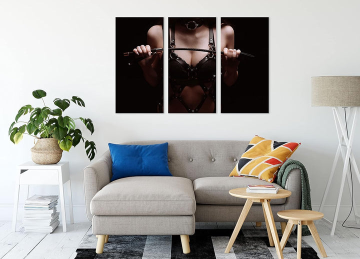 Domina als Leinwandbild 3 teilig | Grösse: 120x80 cm | Wandbild | Kunstdruck | fertig bespannt